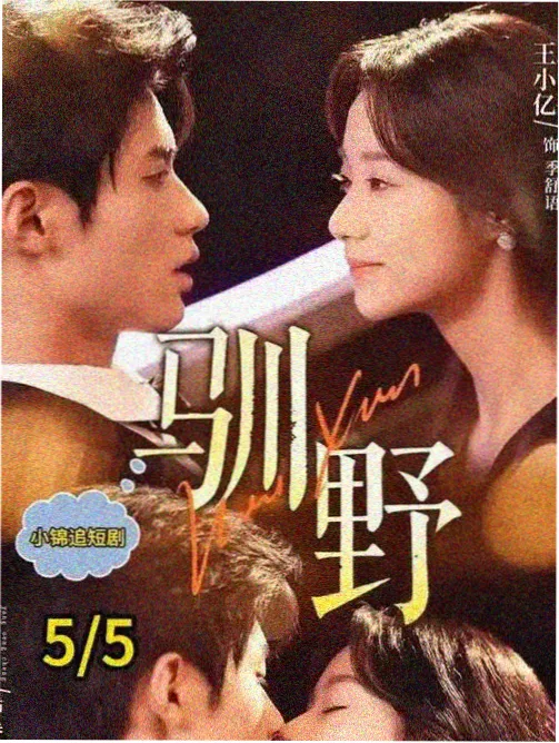 必胜韩国影视学习路径第一阶段 观察者入门